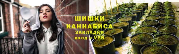прущий лед Арсеньев