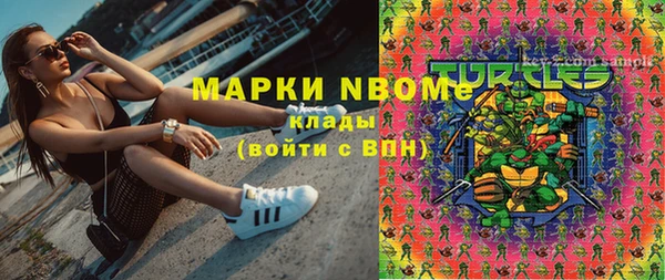 гидра Елабуга
